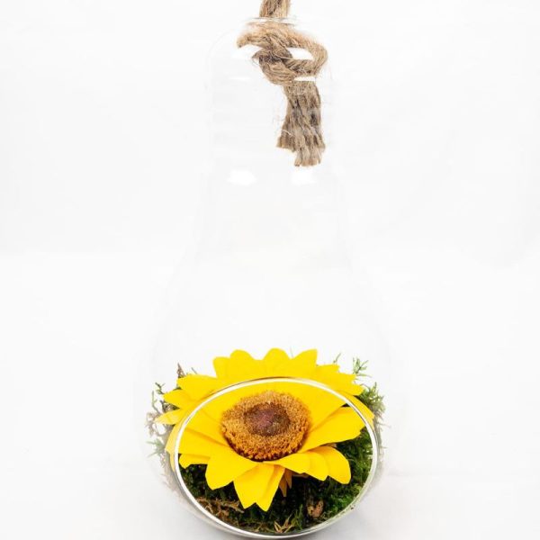 Bombilla con girasol preservado