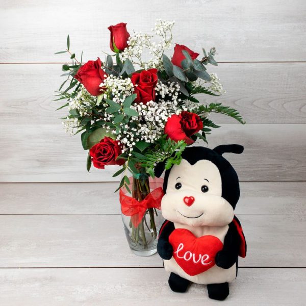 Pack rosas con peluche